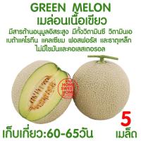 ราคา ถุงปลูกเมล่อน 10ใบ ขนาด 8x16 เจาะรู มะเขือเทศ ถุงเพาะเมล่อน ถุงเพาะสีขาว ถุงเพาะชำ เนื้อหนาสุด เหนียวสุด ไม่ขาดง่าย เนื้อHD (18014082801)