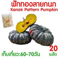 ราคา ค่าส่งถูก ผักสลัด เมล็ดผัก เมล็ดผักสลัด 2000เมล็ด เมล็ดพันธุ์ เมล็ดพันธุ์ผักสลัด งอกดี ปลูกผัก สลัด กรีนโอ๊ค คอส ผักโขม ไฮโดร hydroponic (20354761151)