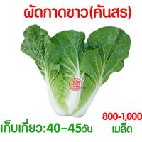 ราคา โค้ดส่งฟรี เมล็ดผัก รวมผักกาด เมล็ดพืชผัก สวนครัว งอกดี ปลูกผัก ปลูกไว้ทานเอง เมล็ดผักรวม ผักกาดขาวปลี ผักกาดหัว (21393784548)