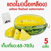 ราคา ค่าส่งถูก ผักสลัด เมล็ดผัก เมล็ดผักสลัด 2000เมล็ด เมล็ดพันธุ์ เมล็ดพันธุ์ผักสลัด งอกดี ปลูกผัก สลัด กรีนโอ๊ค คอส ผักโขม ไฮโดร hydroponic (20354761148)