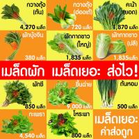 ราคา ค่าส่งถูก รวมผัก เมล็ดผัก เมล็ดพันธุ์ ผักสวนครัว ผักพื้นบ้าน กะเพรา ผักชี ขึ้นฉ่าย คะน้า ต้นหอม ผักกาด พริกขี้หนู พริกหนุ่ม กวางตุ้ง (18082468030)