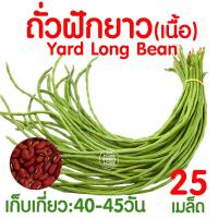 ราคา ค่าส่งถูก ผักสลัด เมล็ดผัก เมล็ดผักสลัด 2000เมล็ด เมล็ดพันธุ์ เมล็ดพันธุ์ผักสลัด งอกดี ปลูกผัก สลัด กรีนโอ๊ค คอส ผักโขม ไฮโดร hydroponic (20354761096)