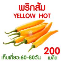 ราคา ค่าส่งถูก ถาดเพาะกล้า ถาดเพาะชำ ถาดเพาะต้นกล้า ถาดเพาะต้นอ่อน ถาดเพาะเมล็ด ถาดเพาะปลูกผัก 50หลุม 72หลุม 105หลุม 200หลุม เมล็ด เมล็ดพันธุ์ (17483365691)