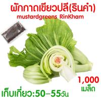 ราคา ค่าส่งถูก ผักสลัด เมล็ดผัก เมล็ดผักสลัด 2000เมล็ด เมล็ดพันธุ์ เมล็ดพันธุ์ผักสลัด งอกดี ปลูกผัก สลัด กรีนโอ๊ค คอส ผักโขม ไฮโดร hydroponic (20354761131)