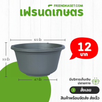 ราคา กระถาง ทรงถ้วย เลดี้ ขนาด 6 นิ้ว สีดำ สีขาว สีเทา สีอิฐ (21399700144)
