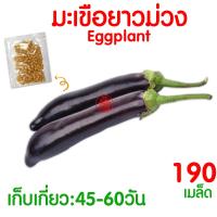 ราคา ค่าส่งถูก ผักสลัด เมล็ดผัก เมล็ดผักสลัด 2000เมล็ด เมล็ดพันธุ์ เมล็ดพันธุ์ผักสลัด งอกดี ปลูกผัก สลัด กรีนโอ๊ค คอส ผักโขม ไฮโดร hydroponic (20354761155)