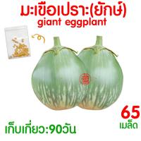ราคา ค่าส่งถูก ผักสลัด เมล็ดผัก เมล็ดผักสลัด 2000เมล็ด เมล็ดพันธุ์ เมล็ดพันธุ์ผักสลัด งอกดี ปลูกผัก สลัด กรีนโอ๊ค คอส ผักโขม ไฮโดร hydroponic (20354761152)