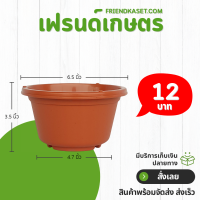 ราคา กระถาง ทรงถ้วย เลดี้ ขนาด 6 นิ้ว สีดำ สีขาว สีเทา สีอิฐ (21399700145)
