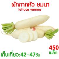ราคา โค้ดส่งฟรี เมล็ดผัก รวมผักกาด เมล็ดพืชผัก สวนครัว งอกดี ปลูกผัก ปลูกไว้ทานเอง เมล็ดผักรวม ผักกาดขาวปลี ผักกาดหัว (21393784546)