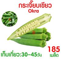 ราคา ค่าส่งถูก ผักสลัด เมล็ดผัก เมล็ดผักสลัด 2000เมล็ด เมล็ดพันธุ์ เมล็ดพันธุ์ผักสลัด งอกดี ปลูกผัก สลัด กรีนโอ๊ค คอส ผักโขม ไฮโดร hydroponic (20354761137)
