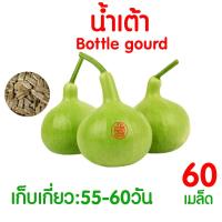 ราคา ค่าส่งถูก ผักสลัด เมล็ดผัก เมล็ดผักสลัด 2000เมล็ด เมล็ดพันธุ์ เมล็ดพันธุ์ผักสลัด งอกดี ปลูกผัก สลัด กรีนโอ๊ค คอส ผักโขม ไฮโดร hydroponic (20354761114)