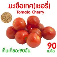 ราคา ค่าส่งถูก ผักสลัด เมล็ดผัก เมล็ดผักสลัด 2000เมล็ด เมล็ดพันธุ์ เมล็ดพันธุ์ผักสลัด งอกดี ปลูกผัก สลัด กรีนโอ๊ค คอส ผักโขม ไฮโดร hydroponic (20354761119)