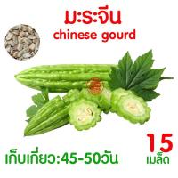 ราคา ค่าส่งถูก ผักสลัด เมล็ดผัก เมล็ดผักสลัด 2000เมล็ด เมล็ดพันธุ์ เมล็ดพันธุ์ผักสลัด งอกดี ปลูกผัก สลัด กรีนโอ๊ค คอส ผักโขม ไฮโดร hydroponic (20354761122)