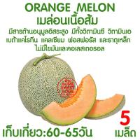 ราคา ถุงปลูกเมล่อน 10ใบ ขนาด 8x16 เจาะรู มะเขือเทศ ถุงเพาะเมล่อน ถุงเพาะสีขาว ถุงเพาะชำ เนื้อหนาสุด เหนียวสุด ไม่ขาดง่าย เนื้อHD (18014082800)