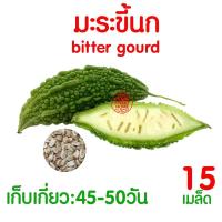 ราคา ค่าส่งถูก ผักสลัด เมล็ดผัก เมล็ดผักสลัด 2000เมล็ด เมล็ดพันธุ์ เมล็ดพันธุ์ผักสลัด งอกดี ปลูกผัก สลัด กรีนโอ๊ค คอส ผักโขม ไฮโดร hydroponic (20354761121)