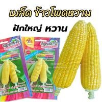 ราคา เมล็ดพันธุ์ ข้าวโพดหวาน 5 กรัม ฝักใหญ่ หวาน เหลืองดี ตรา ม้ารุ้ง ข้าวโพด หวาน เมล็ดผัก เมล็ดข้าวโพด (21391026183)