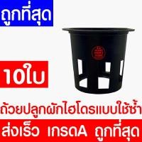 ราคา ถ้วยปลูกผัก 100ใบ ถ้วยเพาะ ถ้วยไฮโดร ถ้วยปลูก ถ้วยเทาปลูกผัก ผักไฮโดรโปนิกส์ ผักไฮโดร ไฮโดร hydroponic hydro ใช้ซ้ำ หนา เหนียว ค่าส่งถูก (22023526117)