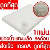 ราคา ค่าส่งถูก ถาดเพาะไฮโดร 1แผ่น ถ้วยปลูกผัก ผักไฮโดร ไฮโดรโปนิกส์ ถาดเพาะ ถาดเพาะเมล็ด ถาดเพาะกล้า ถาดเพาะชำ ปลูกผักไฮโดรโปนิกส์ 80หลุม (21072223560)