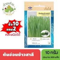 ราคา เจียไต๋ ซื้อ10แถม2 เมล็ดพันธุ์ ต้นอ่อนข้าวสาลี ขนาด10กรัม ประมาณ300เมล็ด Wheat Sprouts ข้าวสาลีงอก เมล็ดพันธุ์พืช เมล็ดผัก ปลูกผักสวนครัว (21615336714)