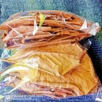 ราคา ใบหูกวางตากแห้ง ใส่ปลากัด เร่งสีปลากัดช่วยให้ปลากัดสวยงามขึ้นปรับสภาพน้ำบรรจุ 12 15 ใหญ่เต็มใบ (22460030329)