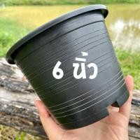 ราคา กระถางต้นไม้ กระถางพลาสติก 1 ใบ พลาสติกสีดำแบบหนา เหนียว ทนทาน แข็งแรง ไม่บุบง่าย (11002596321)