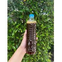 ราคา หัวเชื้อจุลินทรีย์EM เข้มข้น 1 5 ลิตร เกษตร สวน ปรับสภาพน้ำ อามิ น้ำเขียว จุลินทรีย์สังเคราะห์แสง ต้นไม้ พลั่ว (22118356117)