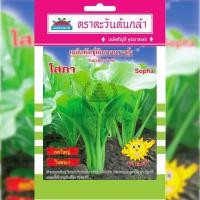 ราคา เมล็ดพันธุ์ ผักกาดกวางตุ้ง โสภา ตราตะวันต้นกล้า (19940345971)