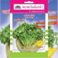 ราคา เมล็ดพันธุ์ ผักชี รสทิพย์ ตราตะวันต้นกล้า (19940368581)