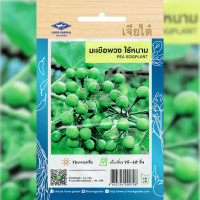 ราคา เมล็ดพันธ์ุ มะเขือพวง ไร้หนาม ตราเจียไต๋ (19438631000)