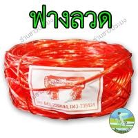 ราคา เชือกฟาง ฟางลวด ฟางมัดหมี่ เชือกฟางมัดหมี่ เชือกฟางลวด ปอฟาง เชือกมัดของ เชือกปอ คละสี เชือก (21455030808)