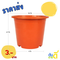 ราคา กระถาง กระถางต้นไม้ ขนาด 6 นิ้ว สีอิฐ (21764365436)
