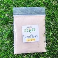 ราคา แตงโมจิ๋ว แตงโมคอนโด 10แถม1 ถูกที่สุด10 บ เมล็ดพันธุ์แตงโมจิ๋ว 5 30เมล็ด งอกง่าย โตไว ลูกดก แตงโมกระถาง แตงโมแคระ (22051086273)