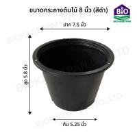 ราคา กระถางต้นไม้พลาสติก กระถางพลาสติก กระถางปลูกต้นไม้ สีดำ ขนาด 2 5 3 4 5 6 8 10 12 15 17 นิ้ว (20000584398)