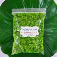 ราคา ดินวิทยาศาสตร์ ปลูกต้นไม้ไร้ดิน ถูกที่สุด19 บ ดินวิทยาศาสตร์250 ml ดินอุ้มน้ำปลูกต้นไม้ ง่ายดาย สะดวก สีสวยจัดเต็ม12สี (22446551315)