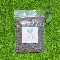 ราคา แตงโมจิ๋ว แตงโมคอนโด 10แถม1 ถูกที่สุด10 บ เมล็ดพันธุ์แตงโมจิ๋ว 5 30เมล็ด งอกง่าย โตไว ลูกดก แตงโมกระถาง แตงโมแคระ (22051086274)