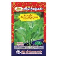 ราคา ผักกาดเขียวเชียงกลาง ผักเจ้าหม่อม MT OP 006 Leaf Mustard ตราภูเขาทอง เมล็ดผักกาดเขียว เมล็ดผักสวนครัว เมล็ดพันธุ์ผัก (20120757757)