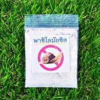 ราคา แตงโมจิ๋ว แตงโมคอนโด 10แถม1 ถูกที่สุด10 บ เมล็ดพันธุ์แตงโมจิ๋ว 5 30เมล็ด งอกง่าย โตไว ลูกดก แตงโมกระถาง แตงโมแคระ (22051086278)