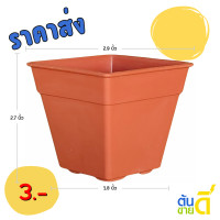 ราคา กระถาง กระถางต้นไม้สี่เหลี่ยม 2 9 นิ้ว (22173316636)