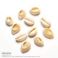 ราคา ฮ ฮิป หอยเบี้ย หอยสังข์ เปลือกหอยธรรมชาติ สำหรับงานเครื่องประดับและงานประดิษฐ์ (22172373177)