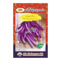 ราคา เมล็ดถั่วแขกสีม่วง Purple Bush Bean MT OP 145 ตราภูเขาทอง เมล็ดพันธุ์ถั่วแขกสีม่วง เมล็ดพันธุ์ผัก เมล็ดพันธุ์ผักสวนครัว เมล็ดถั่วแขก (20127762480)