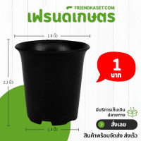 ราคา กระถาง กระถางต้นไม้ กระถางพลาสติก เบอร์ 2 นิ้ว สีดำ (22348889482)