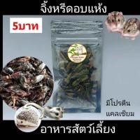 ราคา ขนมแฮมส์เตอร์ อาหารชูก้า อาหารแฮมส์เตอร์ อาหารสัตว์เลี้ยง ดักแด้ไหมอบแห้ง สั่งขั้นต่ำ5ห่อ คละได้ (22594995854)
