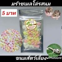 ราคา ขนมแฮมส์เตอร์ อาหารชูก้า อาหารแฮมส์เตอร์ อาหารสัตว์เลี้ยง ดักแด้ไหมอบแห้ง สั่งขั้นต่ำ5ห่อ คละได้ (22595079755)