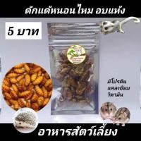 ราคา ขนมแฮมส์เตอร์ อาหารชูก้า อาหารแฮมส์เตอร์ อาหารสัตว์เลี้ยง ดักแด้ไหมอบแห้ง สั่งขั้นต่ำ5ห่อ คละได้ (22595116628)