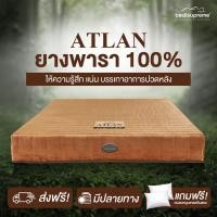ราคา Bedisupreme ที่นอนยางพาราแท้ 100 Latex หนา 7 นิ้ว 9 นิ้ว หุ้มผ้า Cotton Velour กันไรฝุ่น ไม่ใช่ยางพาราอัด ขนาด 3 5 ฟุต 6 ฟุต รุ่น ATLAN (22057294083)