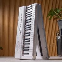 ราคา Coleman Birdie X88 เปียโนไฟฟ้า พับได้ Folding Piano (21202478866)