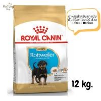 ราคา หมดกังวน จัดส่งฟรี Royal Canin Rottweiler Puppy อาหารสำหรับลูกสุนัขพันธุ์ร็อตไวเลอร์ ช่วงหย่านม 18เดือน ขนาด 12 kg (17230912869)