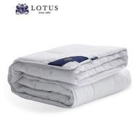ราคา LOTUS ไส้ผ้านวม รุ่น MicroDownia ส่งฟรี (22094215654)