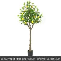 ราคา ต้นเลม่อนเทียม RAMITREES ต้นไม้ปลอม ดอกไม้และต้นไม้ประดิษฐ์ ของมงคลตกแต่งบ้าน (22416246351)