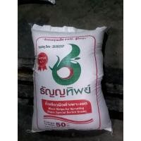 ราคา ถั่วแขกพม่า ธัญทิพย์ กระสอบแดง สำหรับเพาะถั่วงอก เมล็ดพันธุ์ถั่วแขก ถั่วเขียวผิวดำ คัดพิเศษ บรรจุ 50 กิโลกรัม อัตราการงอก เมล็ดถั่ว 1 โลเพาะงอกได้ 10 โล ต้นตรงสวย อวบ อ้วน ได้น้ำหนัก (11131532185)